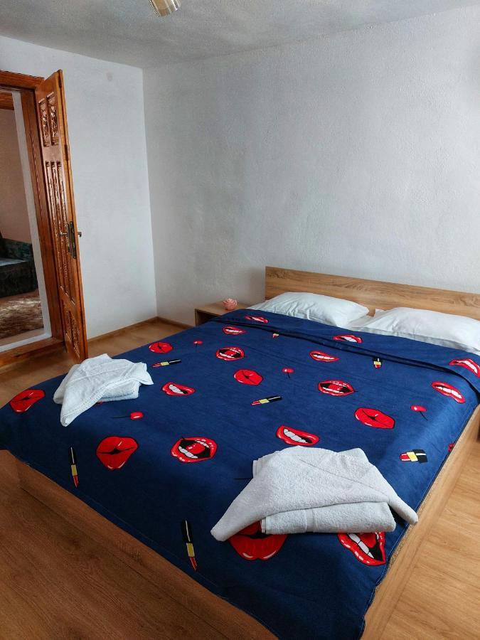 Apartamento Casa De Vacanta Danube